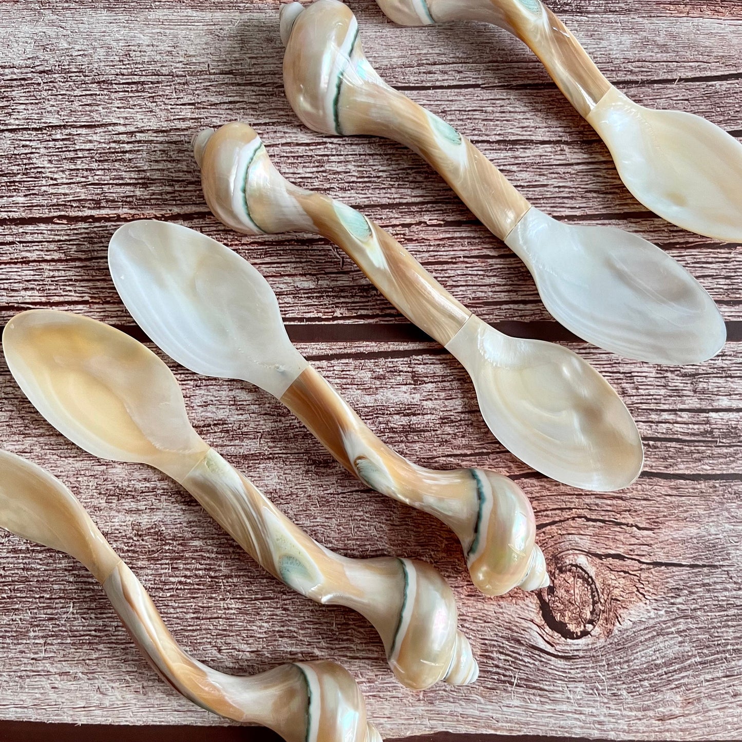 Mother of Pearl Seashell Spoons: Coastal Caviar Spoon Set