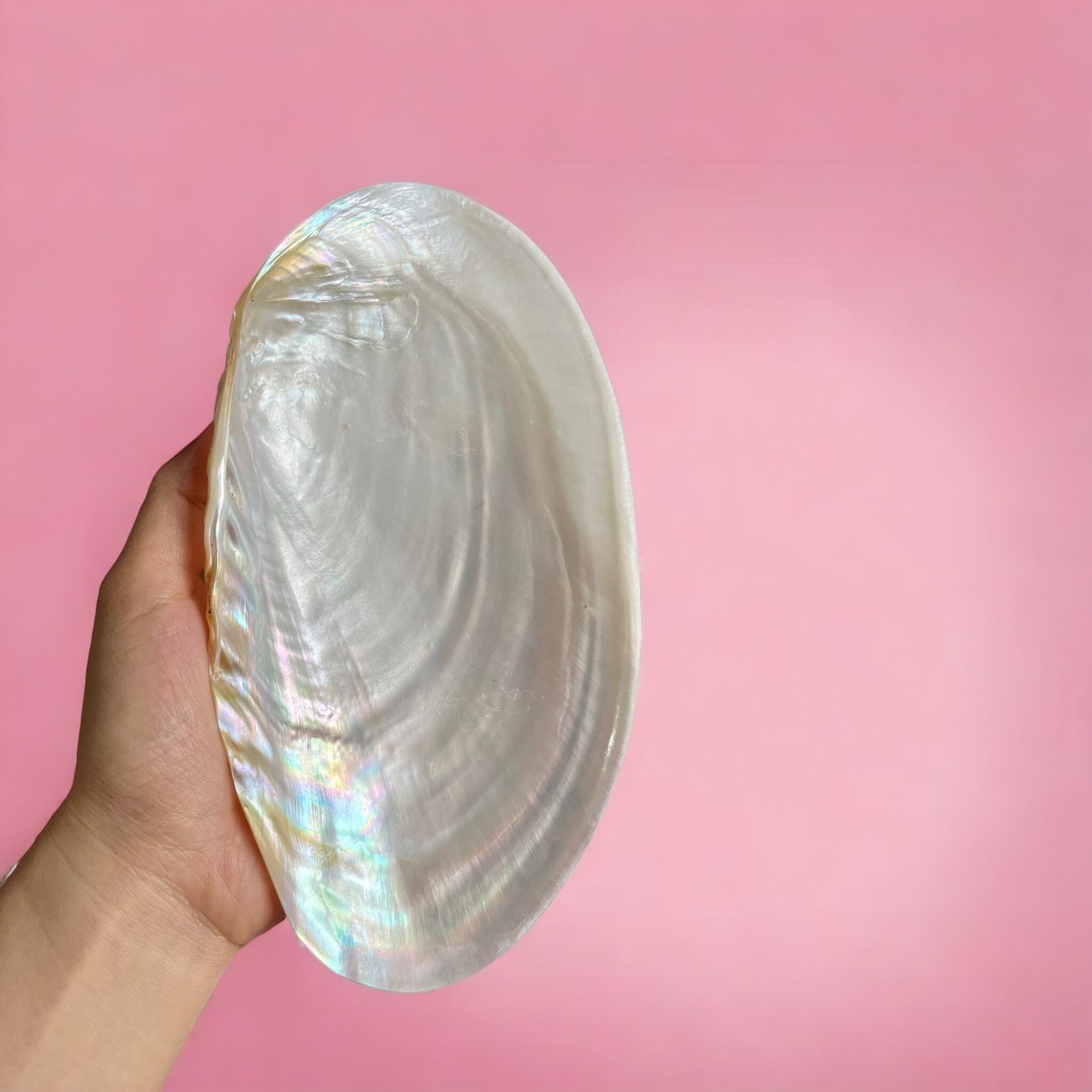Mother of Pearl Shell Dish – Handcrafted Seashell Tray for Jewelry, Snacks & Coastal Home Decor