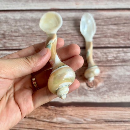 Mother of Pearl Seashell Spoons: Coastal Caviar Spoon Set