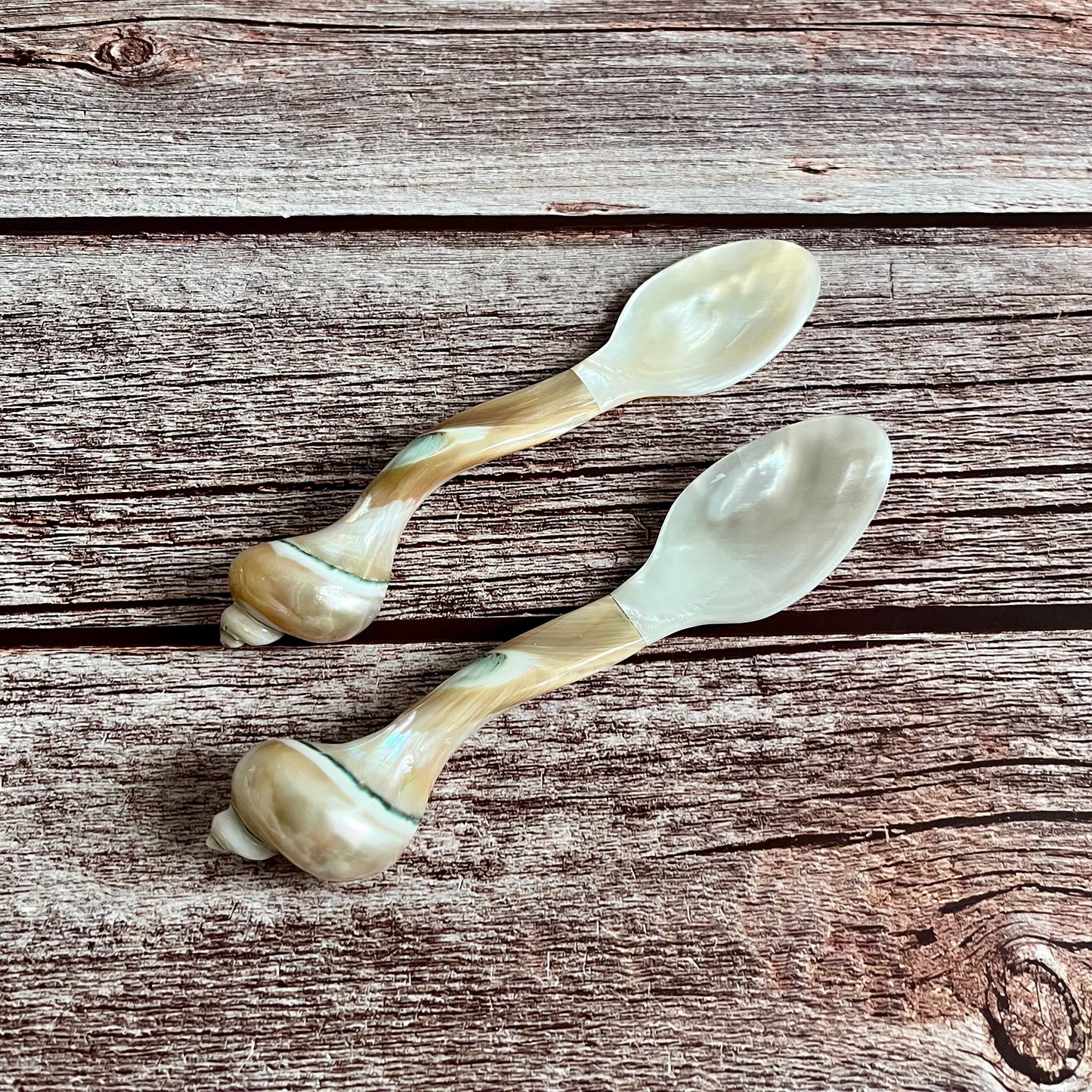 Mother of Pearl Seashell Spoons: Coastal Caviar Spoon Set