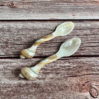 Mother of Pearl Seashell Spoons: Coastal Caviar Spoon Set