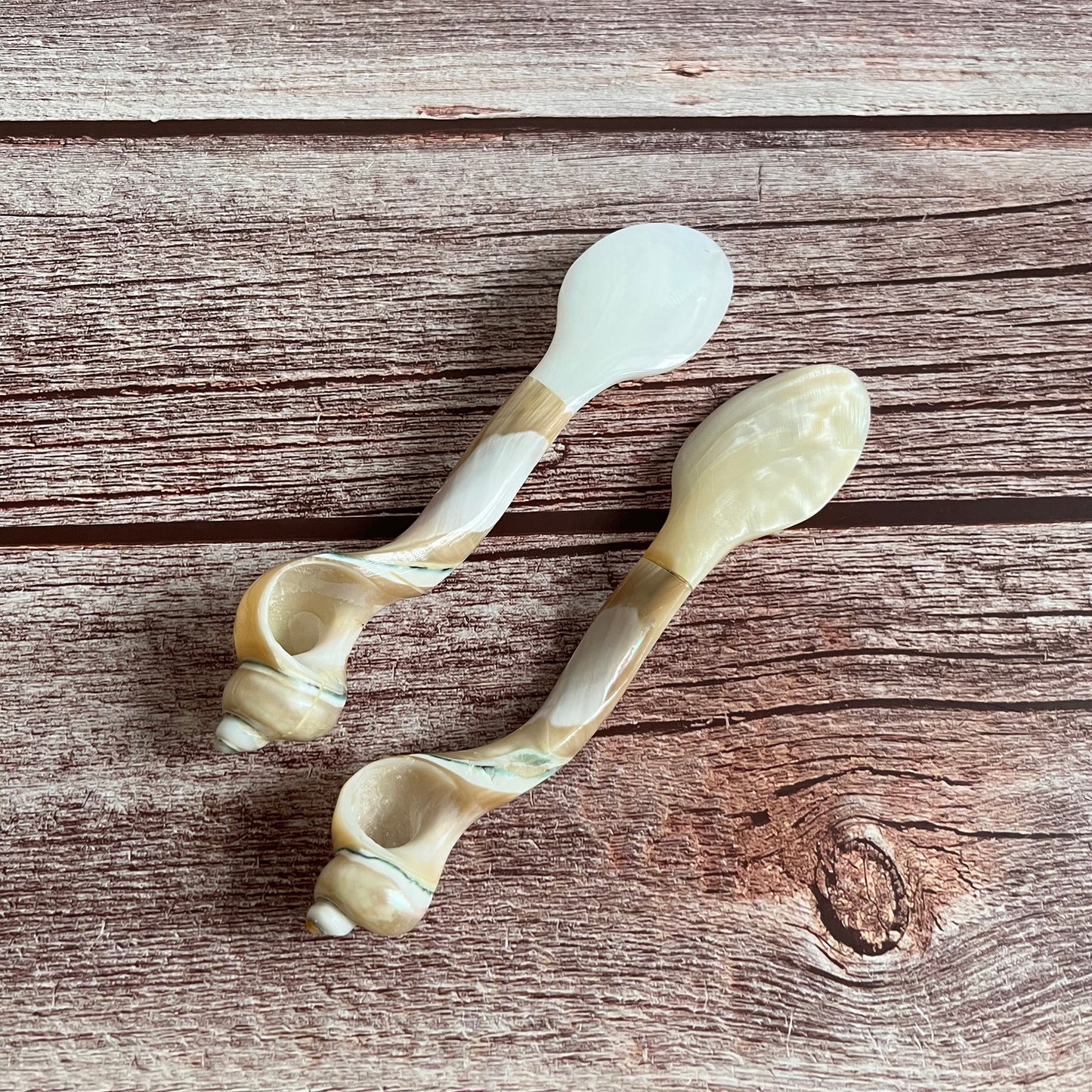 Mother of Pearl Seashell Spoons: Coastal Caviar Spoon Set