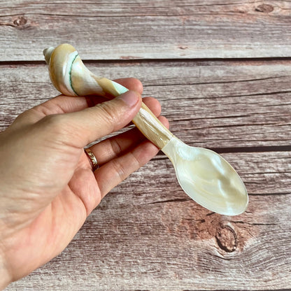 Mother of Pearl Seashell Spoons: Coastal Caviar Spoon Set