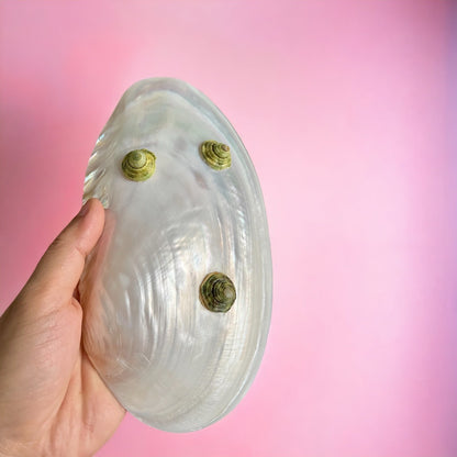 Mother of Pearl Shell Dish – Handcrafted Seashell Tray for Jewelry, Snacks & Coastal Home Decor